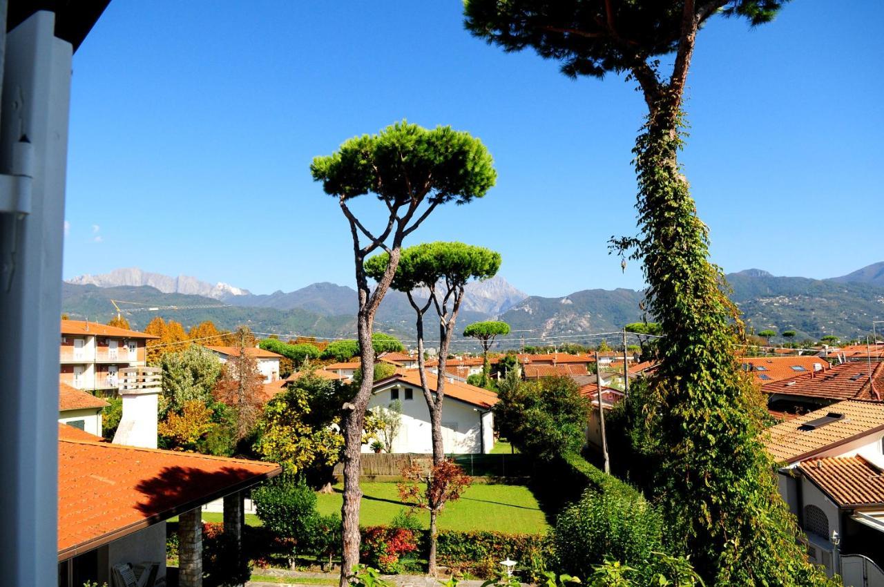 Olive Beach Forte Dei Marmi Zewnętrze zdjęcie