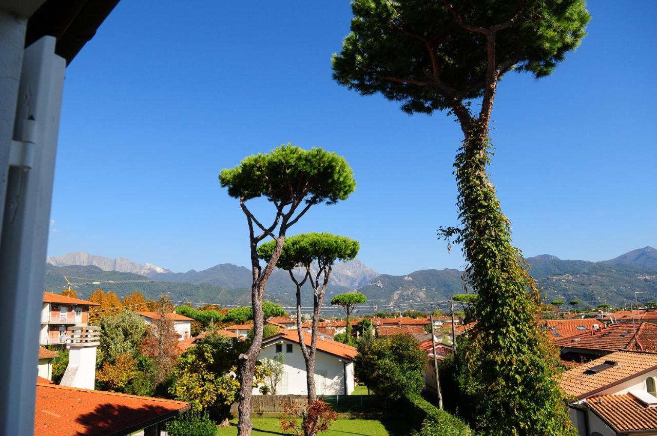 Olive Beach Forte Dei Marmi Zewnętrze zdjęcie